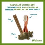 WHIMZEES Variety Value Box Dental Dog Treats, Variety Tub, Large (18-27kg Dogs), Natural Daily Dental Chews (Pack of 14) - Image 4