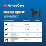 Honeycare Disposable Male Wraps for Senior Dogs, S Size, 40 Count, Super Absorbent, Breathable, Wetness Indicator, Super Deodorization, Cute Suit Suspenders Design - Image 4